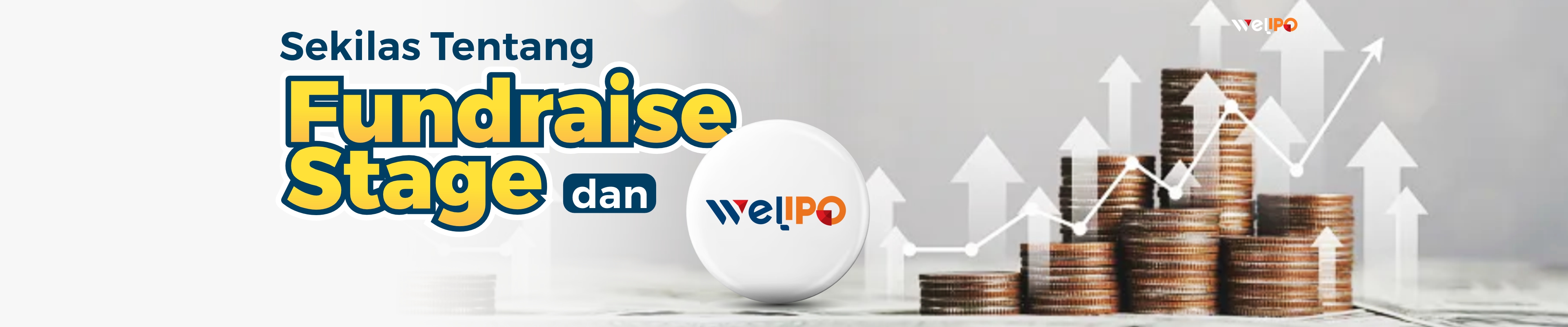 Sekilas tentang Fundraise Stage(FS) dan WELIPO 
